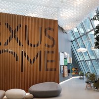 Decorative honeycomb ceiling in Lexus Dome 